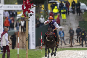 Cavaliere di S. Maria in corsa