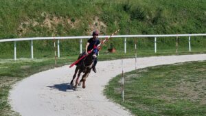 prove corsa all'anello